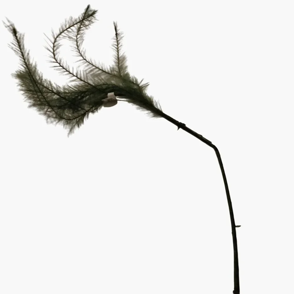 Artificial Fern Spray Branch Green Stem Wispy Feathery Foliage Floral Craft